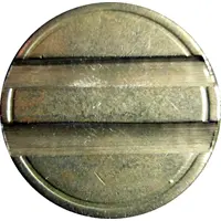 Token - Parko Paliatso Luna Park