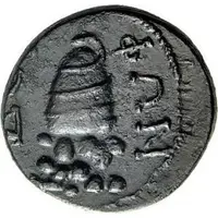 Æ19 - Hadrian ΔΕΛΦΩΝ