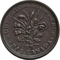 1 Sou Birmingham - 32 laurel leaves / 1 shamrock