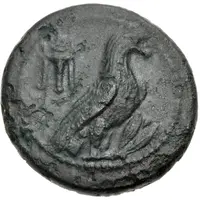 Æ - Alexander Passaron