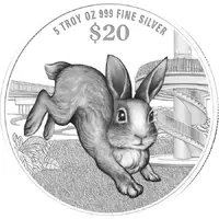 20 Dollars Year of the Rabbit