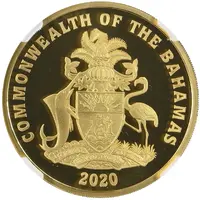 250 Dollars Flamingo