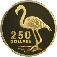 250 Dollars Flamingo