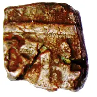 1/3 Falus - Abu Hasan Qutb Shah