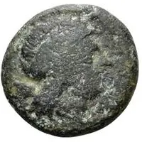 5 Units Head of Apulu