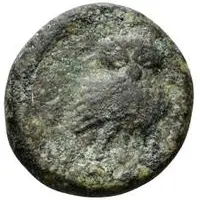 5 Units Head of Apulu