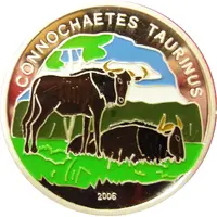 1000 Francs CFA Connochaetes Taurinus