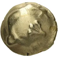 Stater Muscheln type