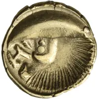 Stater Muscheln type
