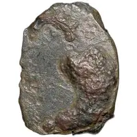 Æ unit - Sivamagha I