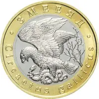 5 Chervontsev Short-toed snake eagle