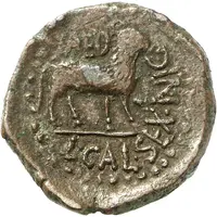 Semis AED L CAL SEX NIG