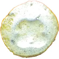 1/2 Ratti Thaton/Mi-Chen