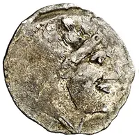 Dinero vegetable ornaments,bust