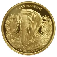 30 000 Riels Asian Elephant