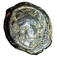 Hemiobol - Bull Palm