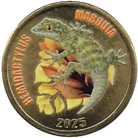 2 Pounds - Hemidactylus Mabouia - Tropical House Gecko