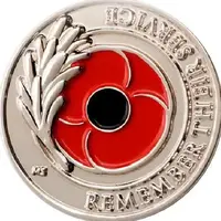Medal - Remember Their Service Vietnam War