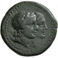 Tetrachalkon - Bryaxis