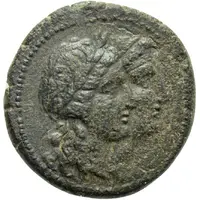 Tetrachalkon - Theogenes