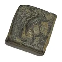 11/2 Karshapana Pushkalavati