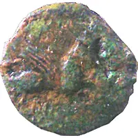 Bronze with Griffin MEDIOMA Class II