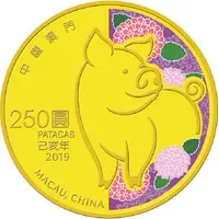 250 Patacas Year of the Pig
