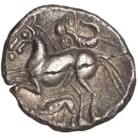 SIlver Unit - Eastern North Thames Stallion and Boar