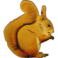 100 Francs Squirrel