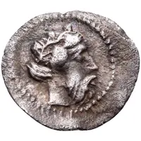 Hemilitra / Hexonkia