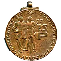 Medal - Member of the socialist labor brigade