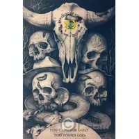 1 Cedi Wanted poster