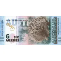 6 Aussies - Short-Beaked Echidna