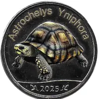 5 Rupees Astrochelys Yniphora
