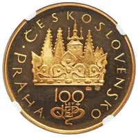 100 Korun Jan Evangelista Purkyně, Pattern