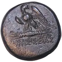 Æ - Mithridates VI Amaseia