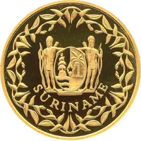 75 000 Gulden Bridge Coppename River