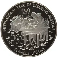 5 Pula Disabled persons, Peidfort