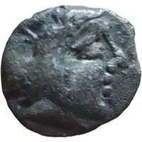 Drachm with hippophorus