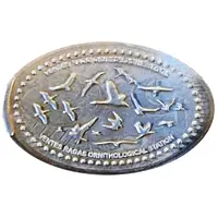 Ventės rago - Ornithological Station