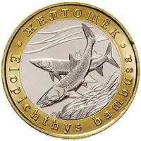 5 Chervontsev Yellowcheek