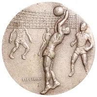 Sporting award volleyball