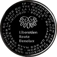 Medal - 80 Years since the end of WWII