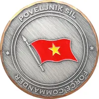 Slovenska vojska Poveljstvo sil, Namestnik poveljnika sil