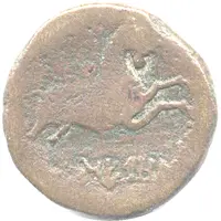 As with bull NERONKEN