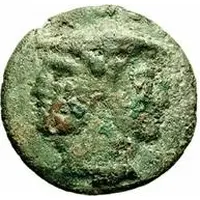 2 Asses Dolphin series