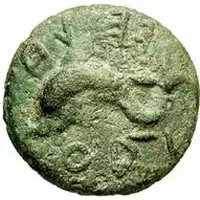 2 Asses Dolphin series