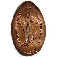 Blijdorp Zoo - Elephant