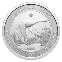 10 Dollars - Charles III Canada Goose (Bullion)