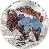 1000 Tögrög Bison